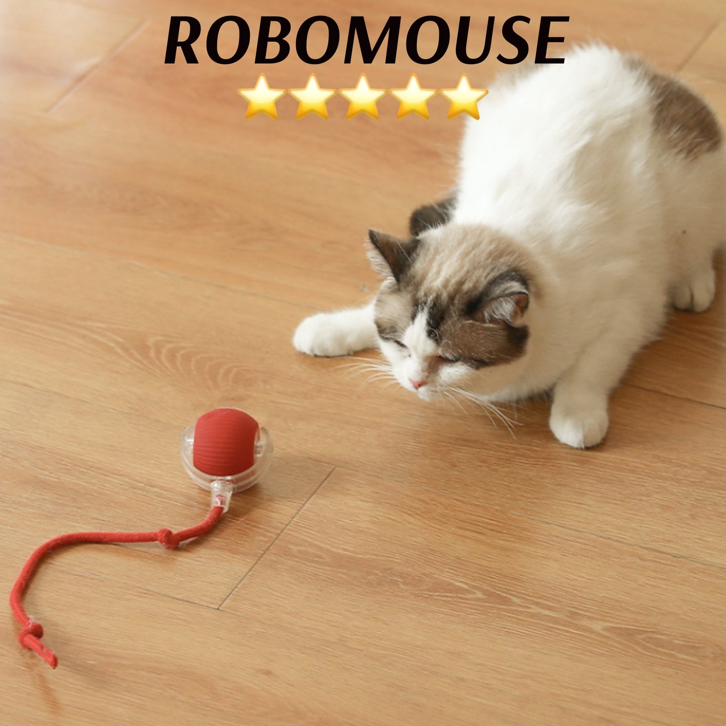 Mini Predator — Ignite Your Pet’s Wild Side for Endless Play and Joy