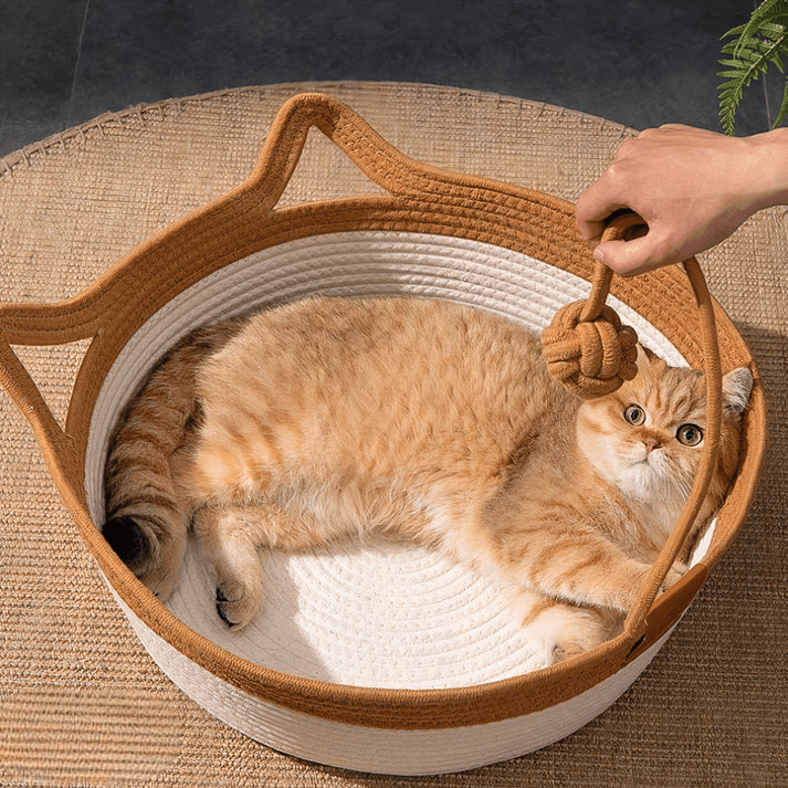 CoolBreeze Cat Throne — Create a Cool, Calm Sanctuary Your Cat Will Crave Every Sunny Day