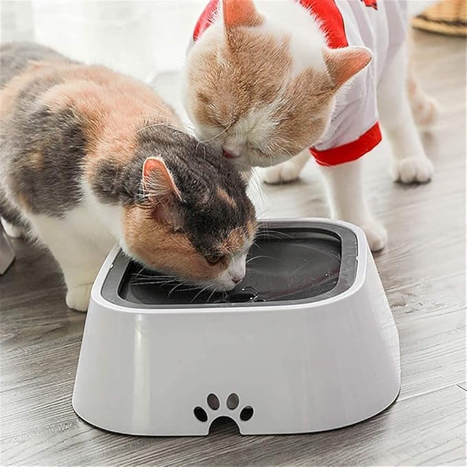 HydraPaw 2L Splash-Stop Guardian — End Messy Spills and Boost Your Pet’s Health Instantly