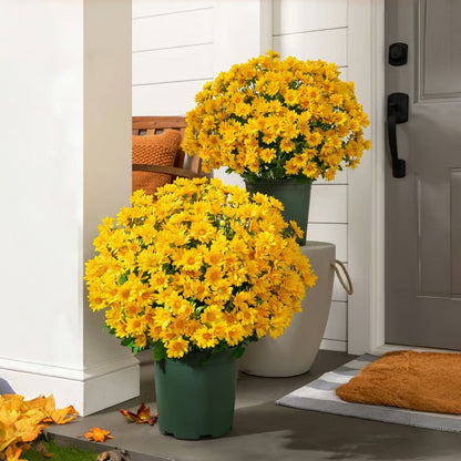 GlowThorn Gardens — Ignite Your Outdoors with Effortless, Stunning Autumn Radiance