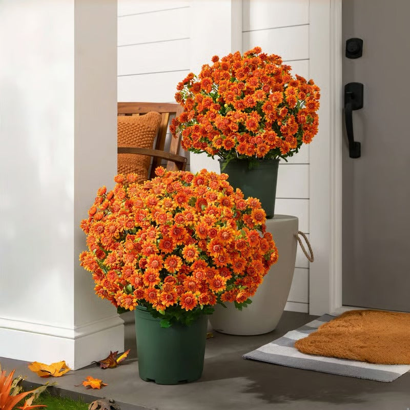 GlowThorn Gardens — Ignite Your Outdoors with Effortless, Stunning Autumn Radiance