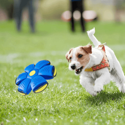 SkyPounce — Ignite Your Dog’s Joy and Energy with Unstoppable Play (1+1 free)