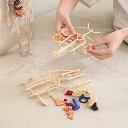 BodyVision 3D — Unlock Mind-Blowing Mastery by Seeing Anatomy Like Never Before