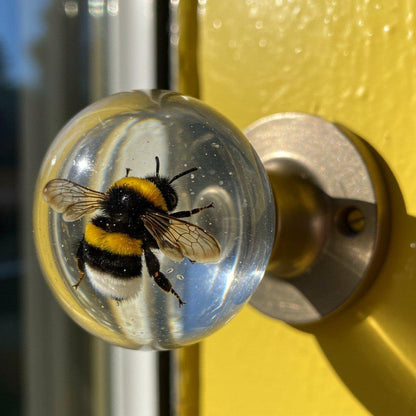 VintageVibe™ — Instantly Transform Dull Doors into Bold, Head-Turning Statements