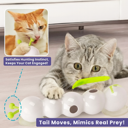 PouncePulse — Ignite Your Cat’s Wild Instincts with Nonstop Thrilling Chase