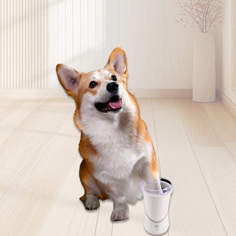 PawPulse — Transform Every Messy Paw into a Clean, Happy Hug