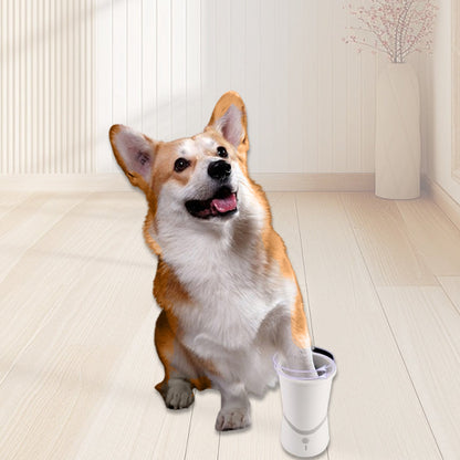 PawPulse — Transform Every Messy Paw into a Clean, Happy Hug