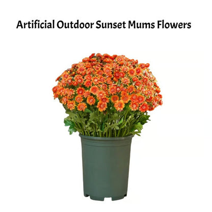 GlowThorn Gardens — Ignite Your Outdoors with Effortless, Stunning Autumn Radiance