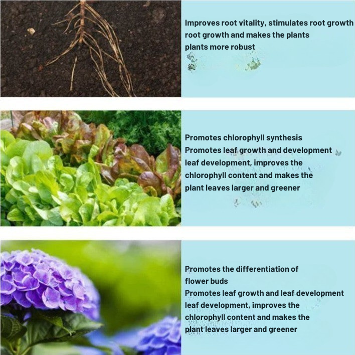 Overgrow™ — Ignite Your Garden’s Comeback with Pure, Powerful Life-Force