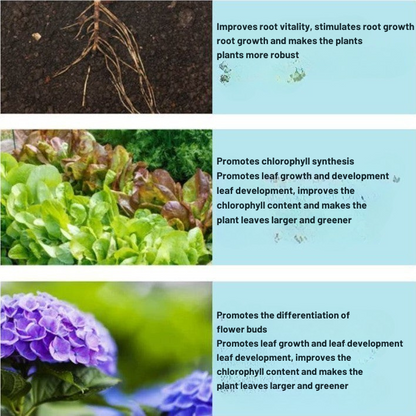 Overgrow™ — Ignite Your Garden’s Comeback with Pure, Powerful Life-Force