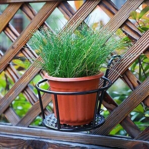 TitanBlossom™ — Rock-Solid Beauty That Makes Your Plants the Star of Any Space