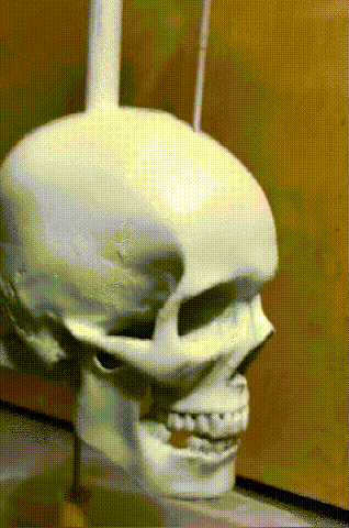 DeathSpin Whirligig — Ignite Wild Energy with Jaw-Dropping Garden Motion