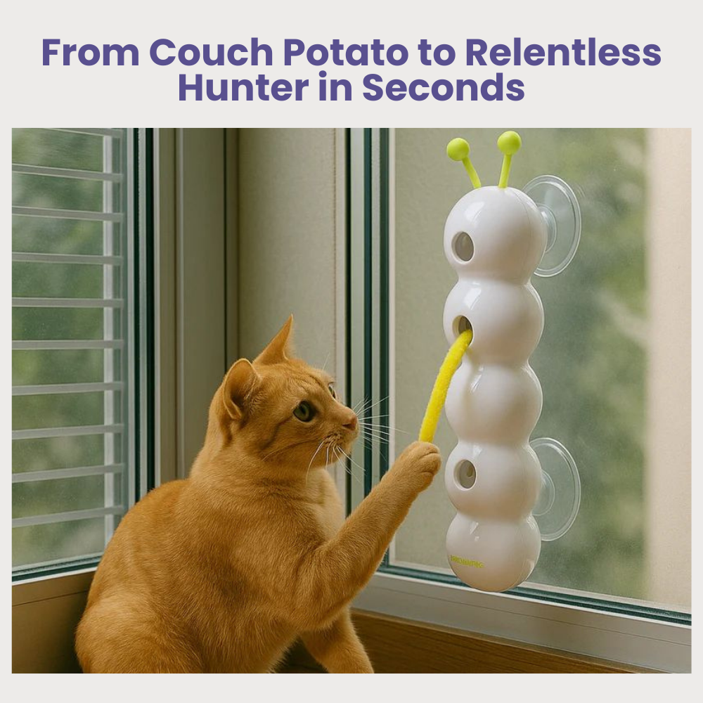 PouncePulse — Ignite Your Cat’s Wild Instincts with Nonstop Thrilling Chase