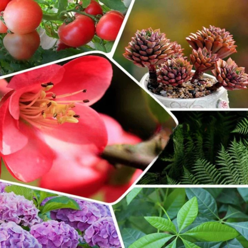 Overgrow™ — Ignite Your Garden’s Comeback with Pure, Powerful Life-Force