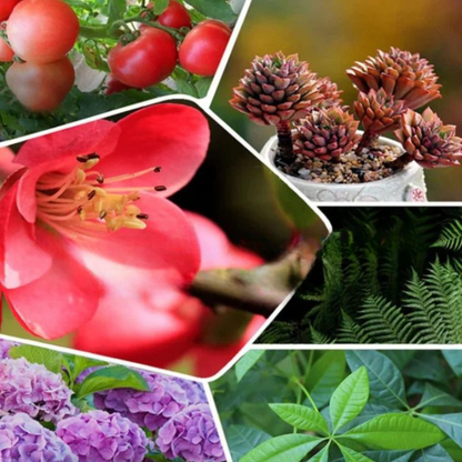 Overgrow™ — Ignite Your Garden’s Comeback with Pure, Powerful Life-Force