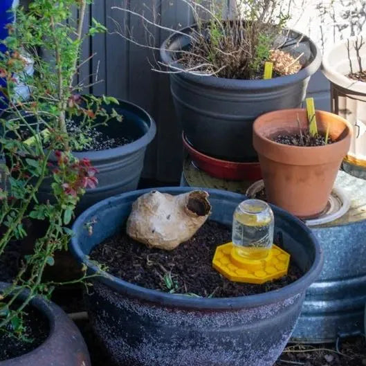 HiveGuard — Keep Your Bees Buzzing with a Safe, Life-Saving Oasis