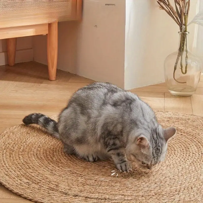 ClawHaven — Turn Scratches Into Cozy, Deserved Cat Nirvana