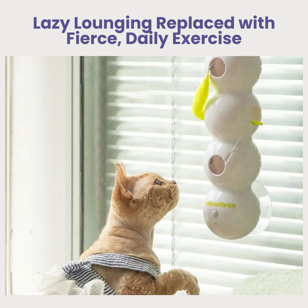 PouncePulse — Ignite Your Cat’s Wild Instincts with Nonstop Thrilling Chase