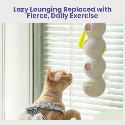 PouncePulse — Ignite Your Cat’s Wild Instincts with Nonstop Thrilling Chase