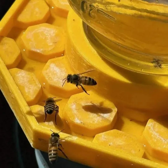 HiveGuard — Keep Your Bees Buzzing with a Safe, Life-Saving Oasis