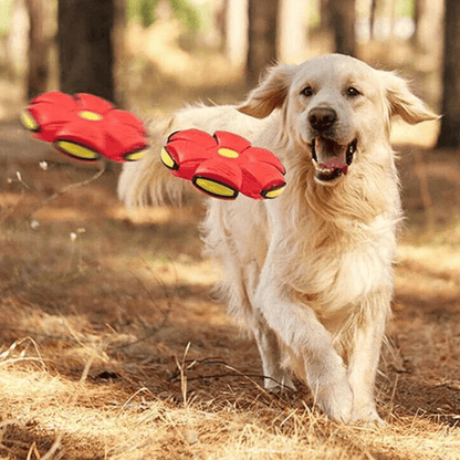 SkyPounce — Ignite Your Dog’s Joy and Energy with Unstoppable Play (1+1 free)
