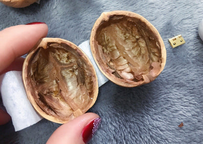 Princess Wonderland — Hold a Magical Secret That Lights Up Hearts Instantly