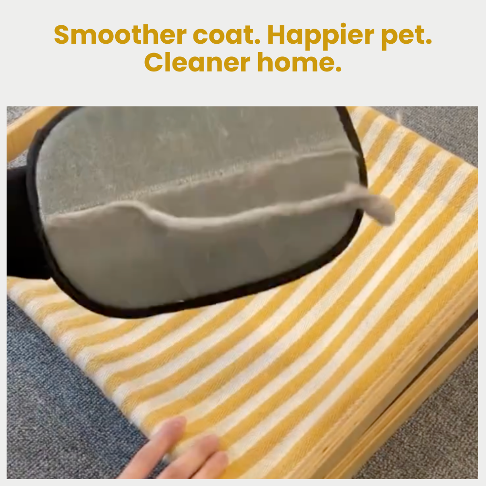 FurExile — End Pet Hair Nightmares and Enjoy a Fur-Free Home Instantly (1+1 free), (2+2 free)