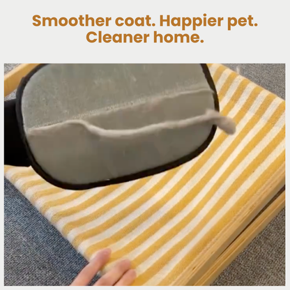 Petalue — Crush Pet Hair Chaos Instantly and Reclaim Your Clean, Confident Home