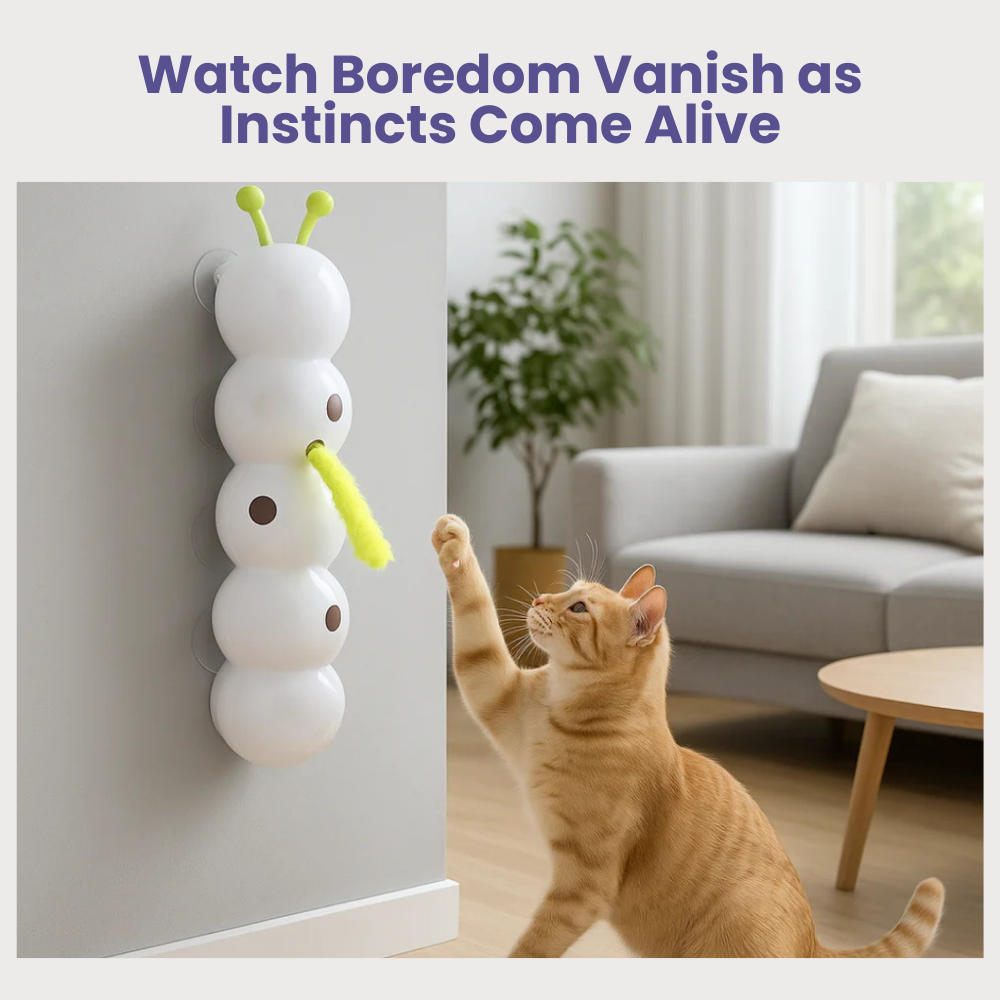 PouncePulse — Ignite Your Cat’s Wild Instincts with Nonstop Thrilling Chase