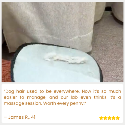 Petalue — Crush Pet Hair Chaos Instantly and Reclaim Your Clean, Confident Home