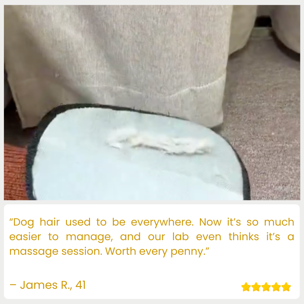 FurExile — End Pet Hair Nightmares and Enjoy a Fur-Free Home Instantly (1+1 free), (2+2 free)