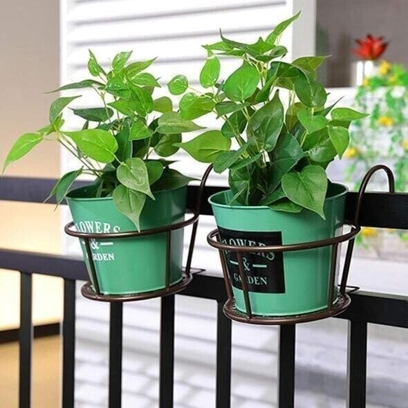 TitanBlossom™ — Rock-Solid Beauty That Makes Your Plants the Star of Any Space