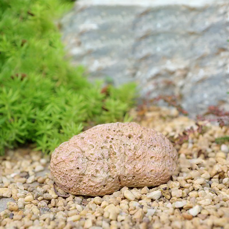 ObscuraStone — Hide Your Valuables in Plain Sight with Rock-Solid, Weatherproof Security
