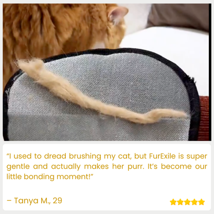 FurExile — End Pet Hair Nightmares and Enjoy a Fur-Free Home Instantly (1+1 free), (2+2 free)