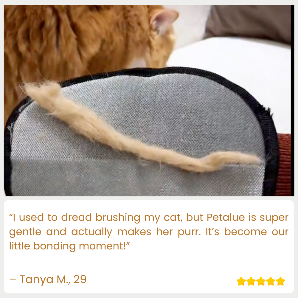 Petalue — Crush Pet Hair Chaos Instantly and Reclaim Your Clean, Confident Home