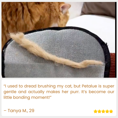 Petalue — Crush Pet Hair Chaos Instantly and Reclaim Your Clean, Confident Home