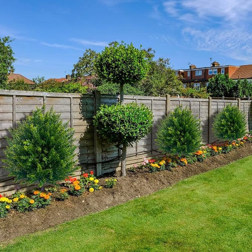 Lifelike Cedar Topiary Spheres — Unleash Everlasting Freshness and Effortless Elegance Anywhere You Desire