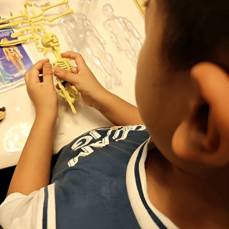 BodyVision 3D — Unlock Mind-Blowing Mastery by Seeing Anatomy Like Never Before