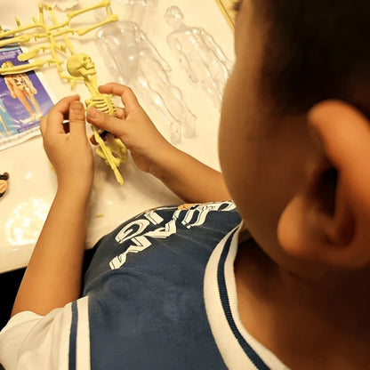 BodyVision 3D — Unlock Mind-Blowing Mastery by Seeing Anatomy Like Never Before