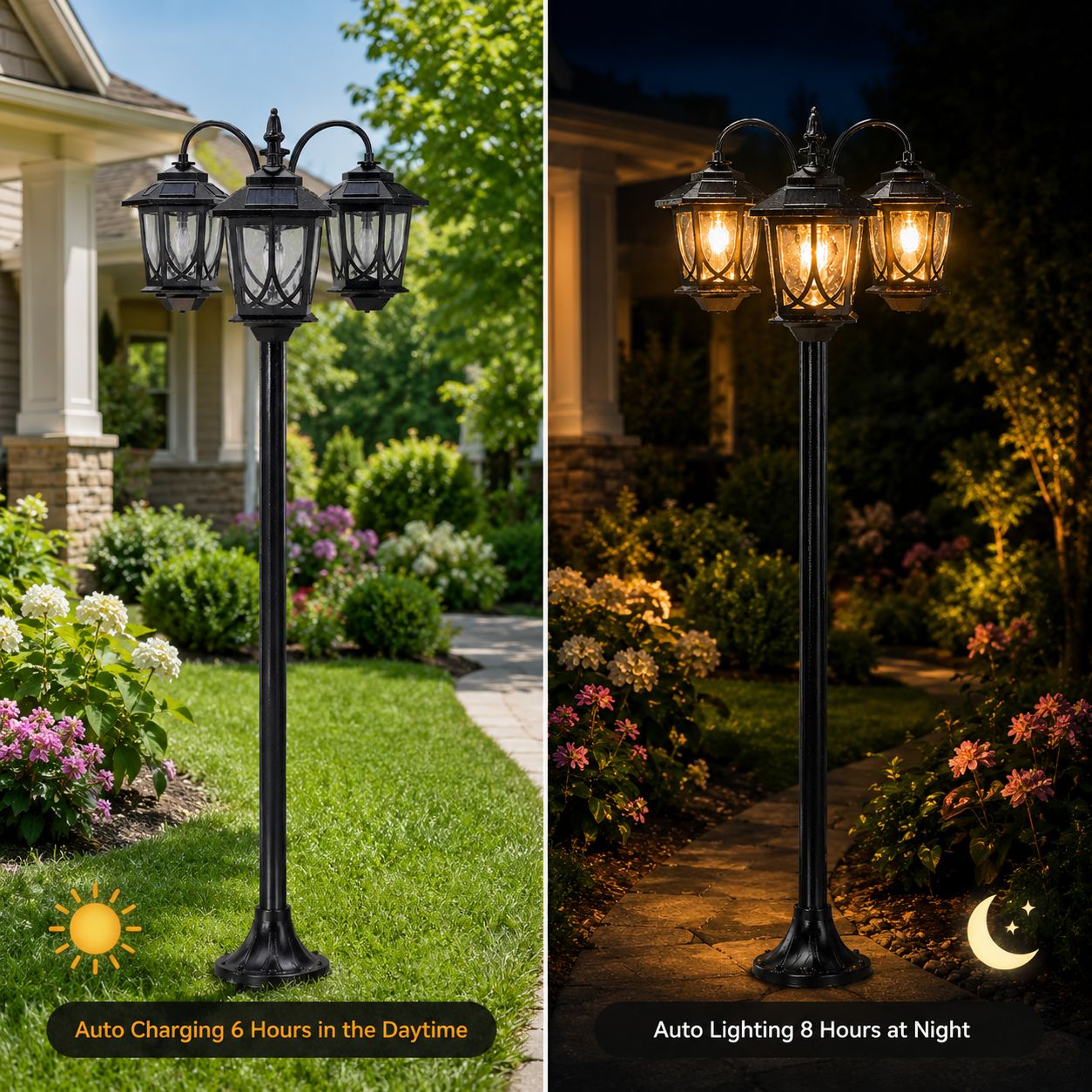 Verana — The warm glow your yard's been missing.