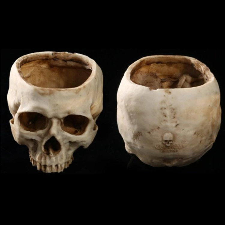 DarkVessel Skull Bowl — Command Dark Awe and Turn Every Gathering Into an Unforgettable Ritual