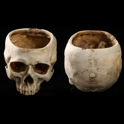 DarkVessel Skull Bowl — Command Dark Awe and Turn Every Gathering Into an Unforgettable Ritual