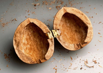 Princess Wonderland — Hold a Magical Secret That Lights Up Hearts Instantly