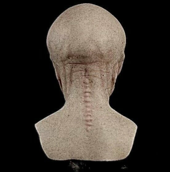 NovaMorph — Transform into the Alien Icon Everyone Can’t Stop Staring At