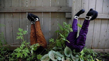 HexaKick™ Witch Legs — Command Every Gaze with Relentless Kicking Terror