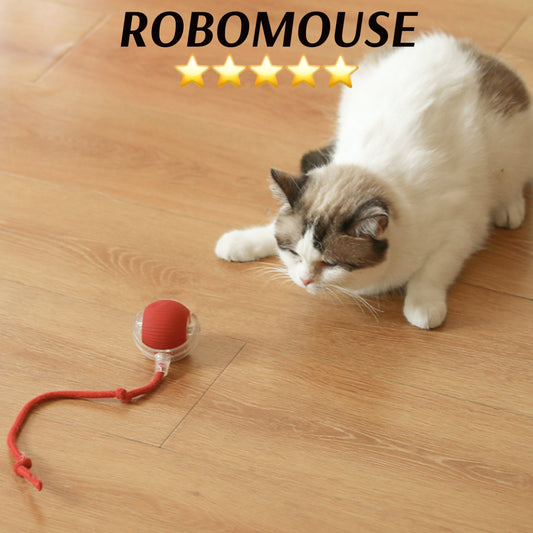 Mini Predator — Ignite Your Pet’s Wild Side for Endless Play and Joy