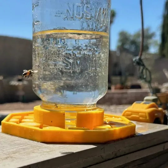 HiveGuard — Keep Your Bees Buzzing with a Safe, Life-Saving Oasis