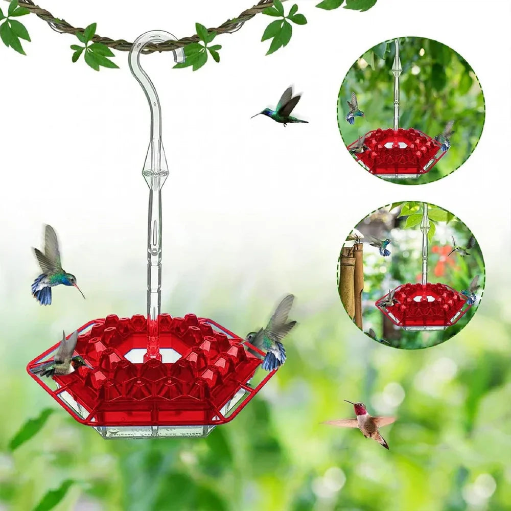 NectarNest — Fill Your Garden with Dazzling Hummingbird Magic Every Day