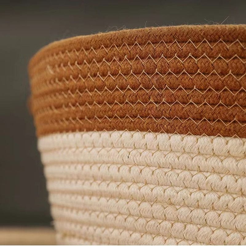 CoolBreeze Cat Throne — Create a Cool, Calm Sanctuary Your Cat Will Crave Every Sunny Day