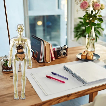 BodyVision 3D — Unlock Mind-Blowing Mastery by Seeing Anatomy Like Never Before